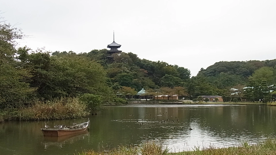 横浜市の三渓園にある三重塔